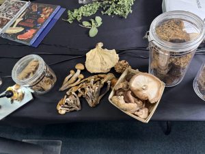 School Nutrition Association of South Carolina