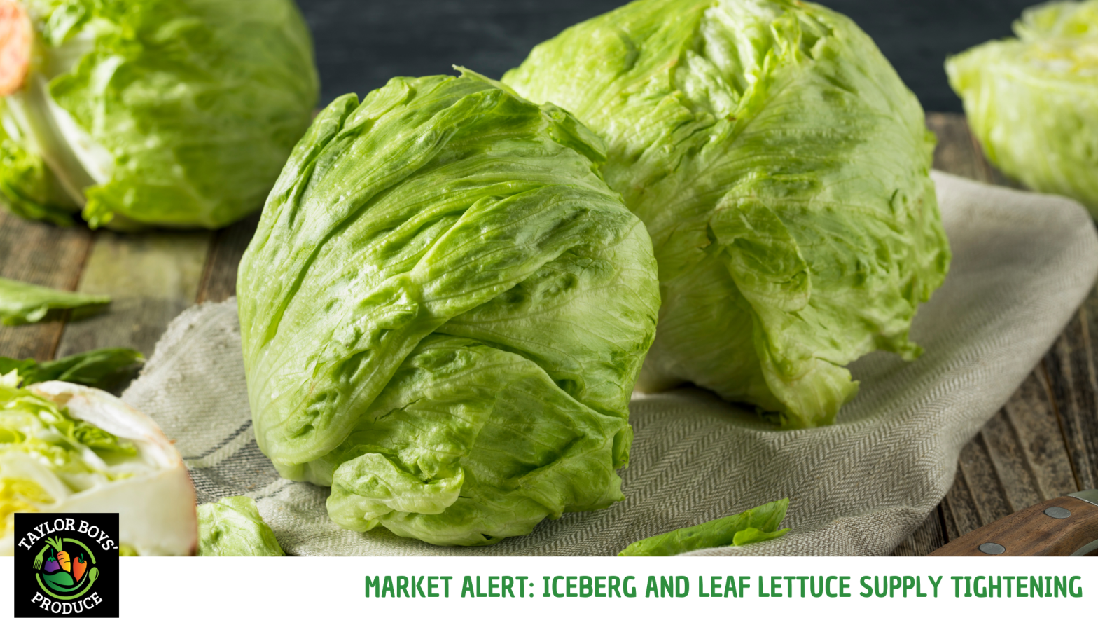 Iceberg & Leaf Lettuce Supply Tightening
